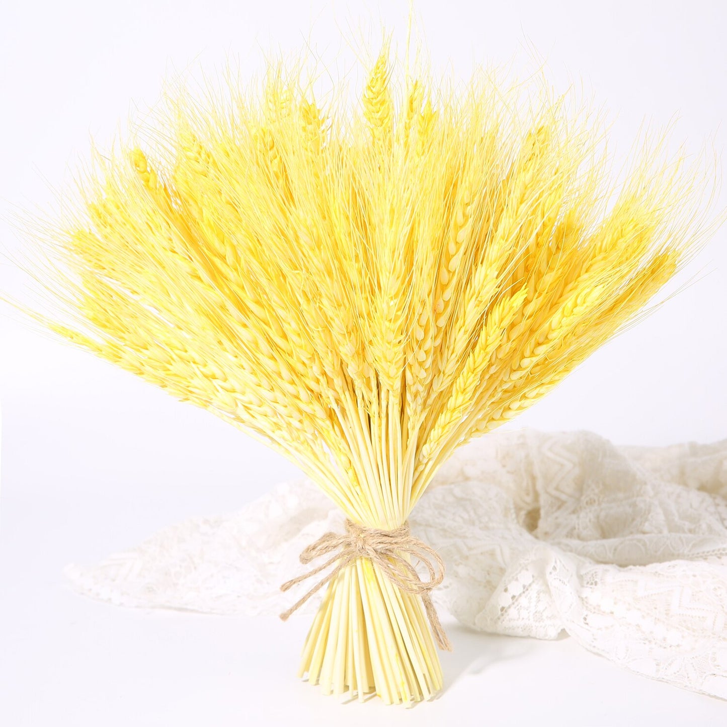 Bulrush Natural Dried Small Pampas Grass Phragmites Real Wheat Artificial Plants Wedding Flower Bunch For Home Decor Fake Flower
