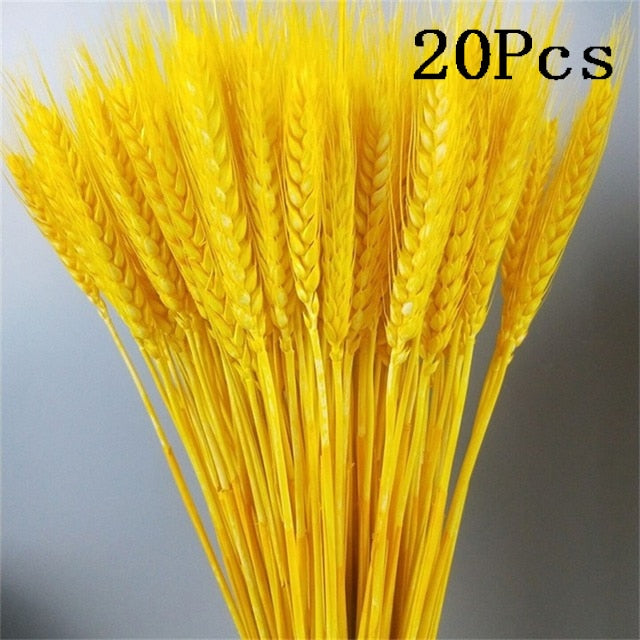 Rabbit Tail Natural Dried Flower Pampas Grass Bunch Real Bouquet Flower for Photo Props Flores Home Wedding Decoration DIY 2022