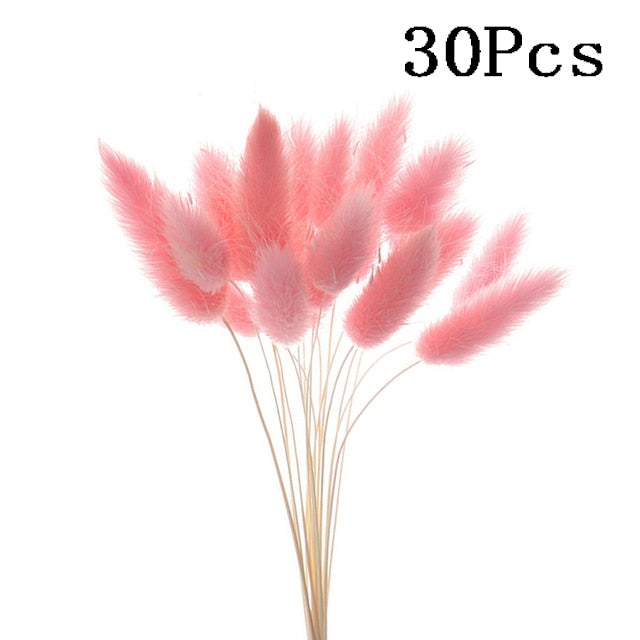 Rabbit Tail Natural Dried Flower Pampas Grass Bunch Real Bouquet Flower for Photo Props Flores Home Wedding Decoration DIY 2022