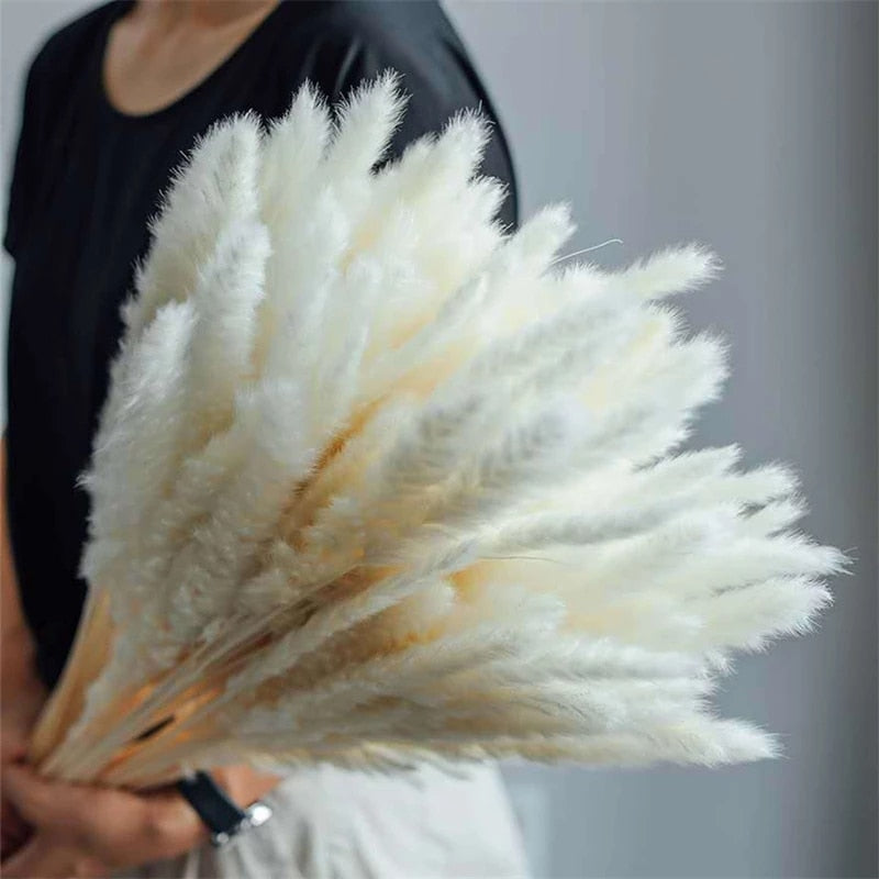 45cm Reed Pampas Wheat Ears Rabbit Tail Grass Natural Dried Flowers Bouquet Wedding Decoration Hay for Party Bohemian Home