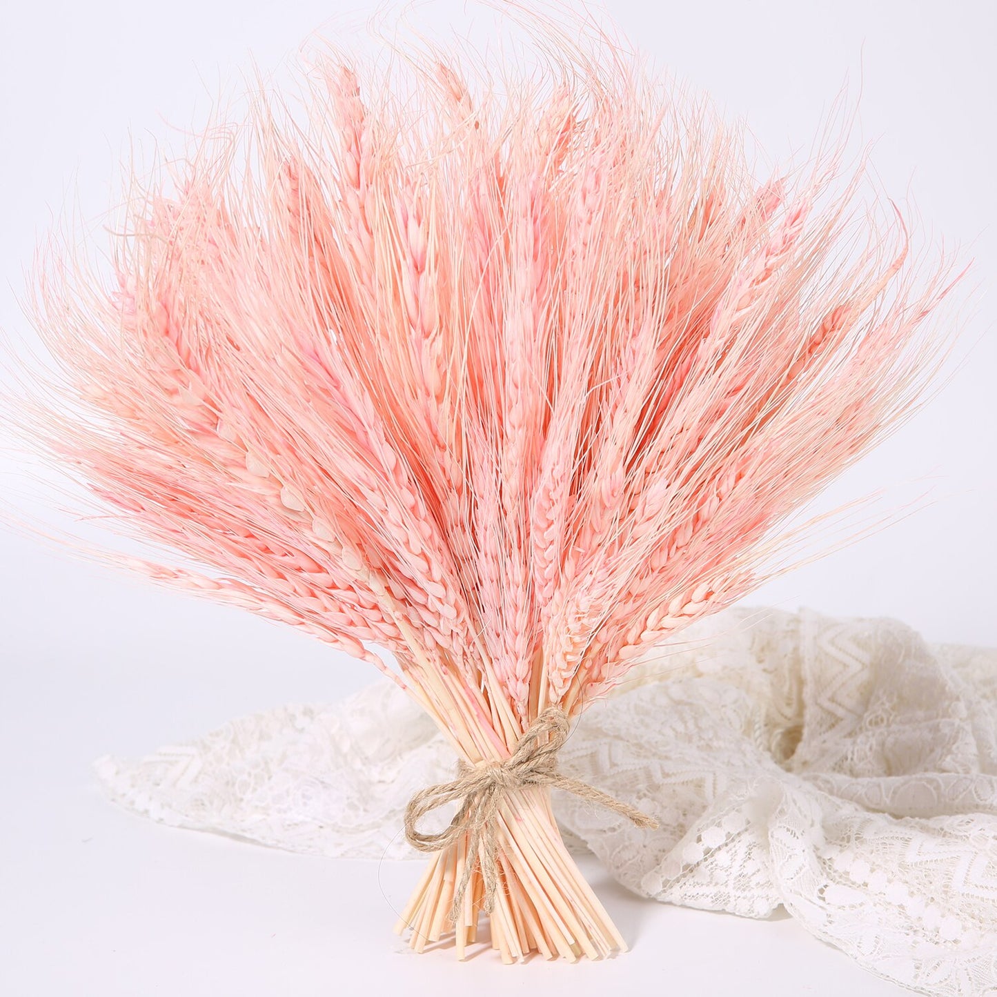 Bulrush Natural Dried Small Pampas Grass Phragmites Real Wheat Artificial Plants Wedding Flower Bunch For Home Decor Fake Flower