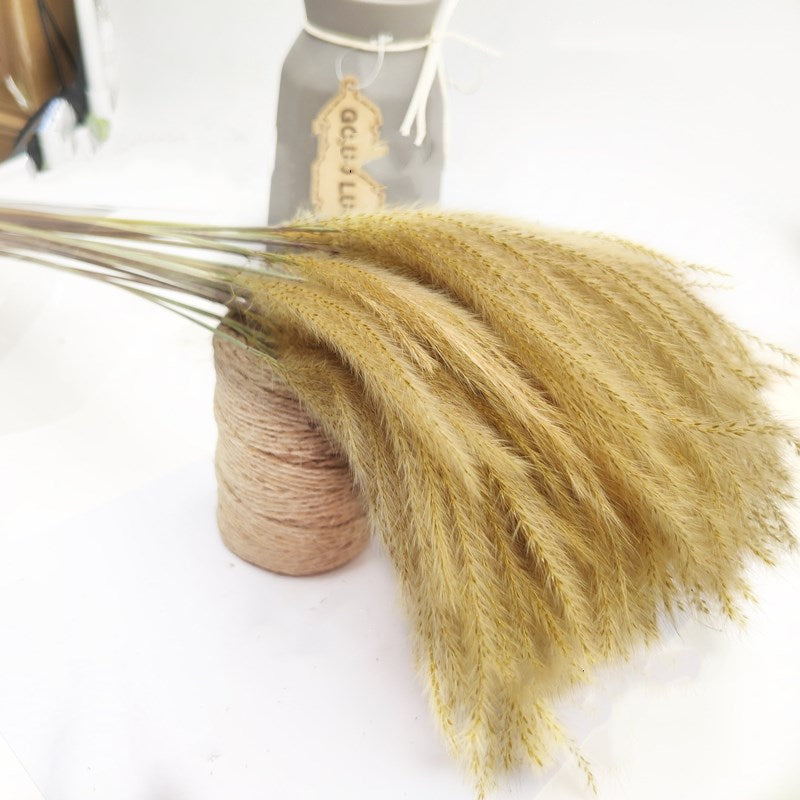 15Pcs Dried Reed Flower Arrangement Natural Pampas Grass For Modern Home Decoration Party Backdrops Wedding Supplies