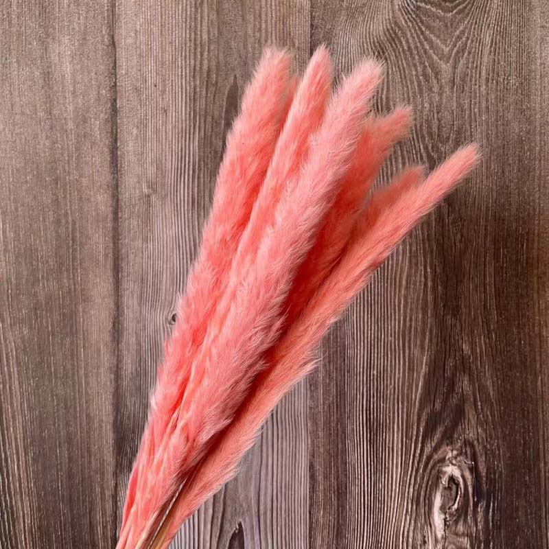 30PCS/Length 40-43CM Real Dried Natural Grass Reed Flower,Dry Small Bulrush Bouquet,Pampas Reeds,Home Decoration,Wedding Decor