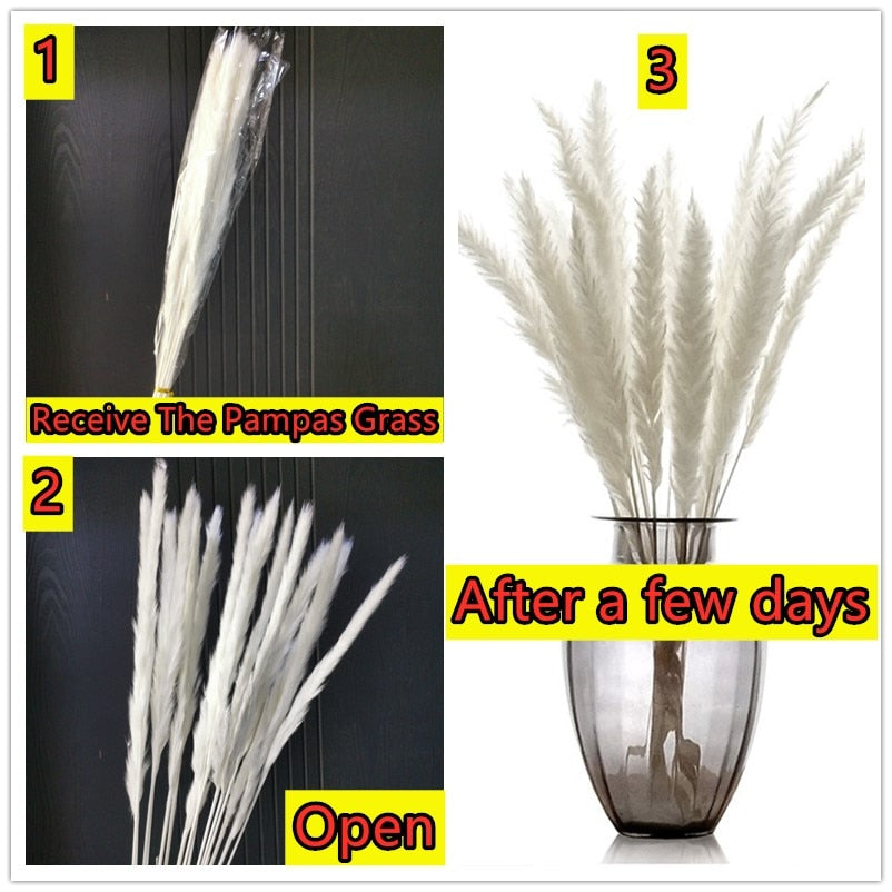 15Pcs Dried Reed Flower Arrangement Natural Pampas Grass For Modern Home Decoration Party Backdrops Wedding Supplies