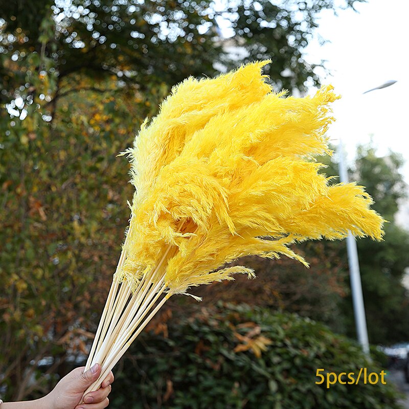 Bulrush Natural Dried Small Pampas Grass Phragmites Real Wheat Artificial Plants Wedding Flower Bunch For Home Decor Fake Flower