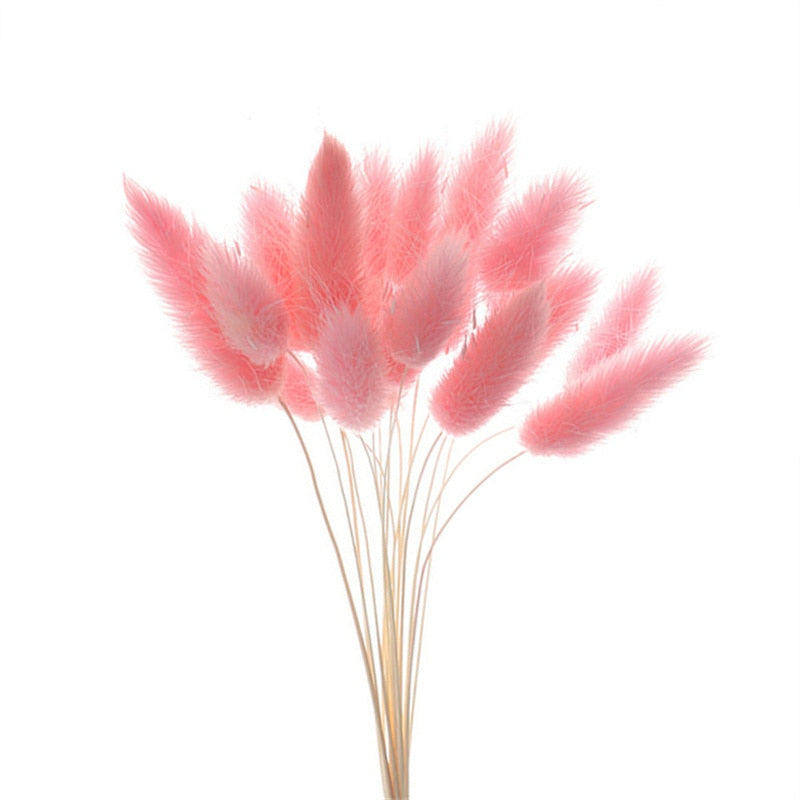 Rabbit Tail Natural Dried Flower Pampas Grass Bunch Real Bouquet Flower for Photo Props Flores Home Wedding Decoration DIY 2022