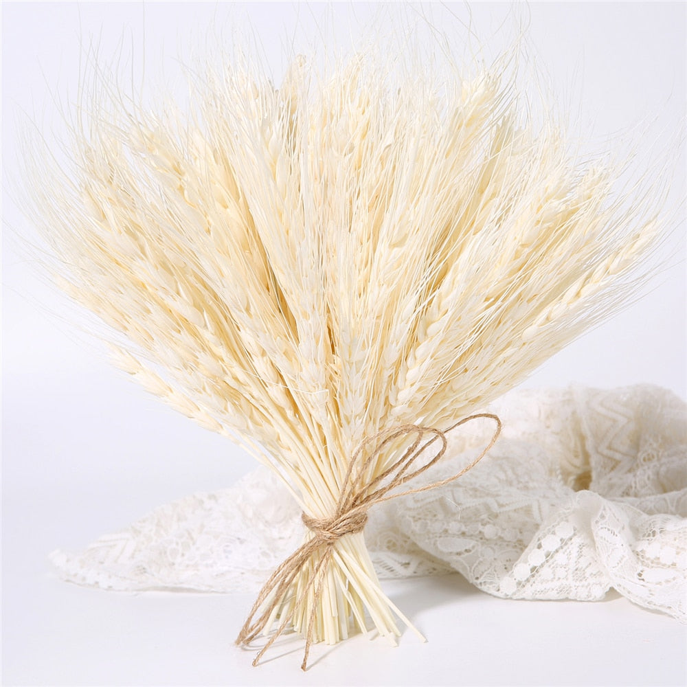 Bulrush Natural Dried Small Pampas Grass Phragmites Real Wheat Artificial Plants Wedding Flower Bunch For Home Decor Fake Flower