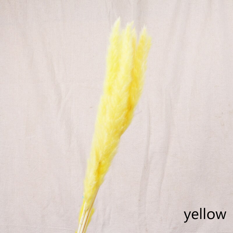 Bulrush Natural Dried Small Pampas Grass Phragmites Real Wheat Artificial Plants Wedding Flower Bunch For Home Decor Fake Flower