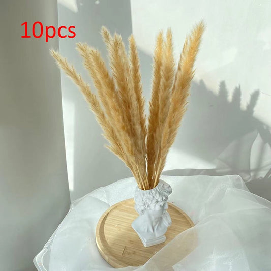 Pampas Grass Phragmites Reed Dried Natural Flowers Bouquet Arrangement Wedding Party Decor Christmas Decorations For Home Table