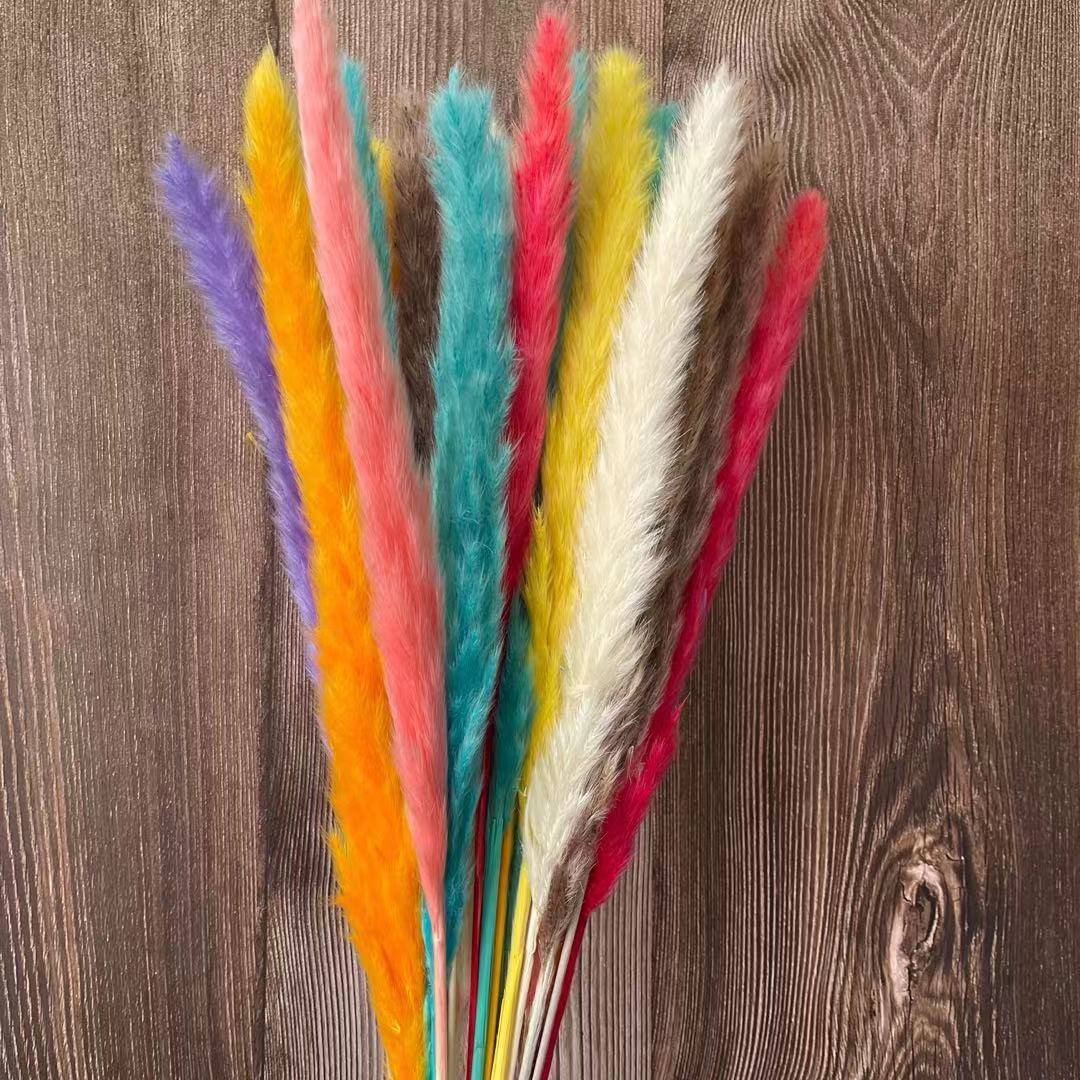 30PCS/Length 40-43CM Real Dried Natural Grass Reed Flower,Dry Small Bulrush Bouquet,Pampas Reeds,Home Decoration,Wedding Decor