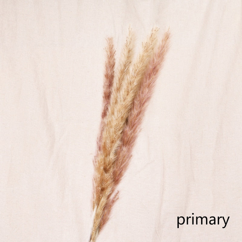 Bulrush Natural Dried Small Pampas Grass Phragmites Real Wheat Artificial Plants Wedding Flower Bunch For Home Decor Fake Flower