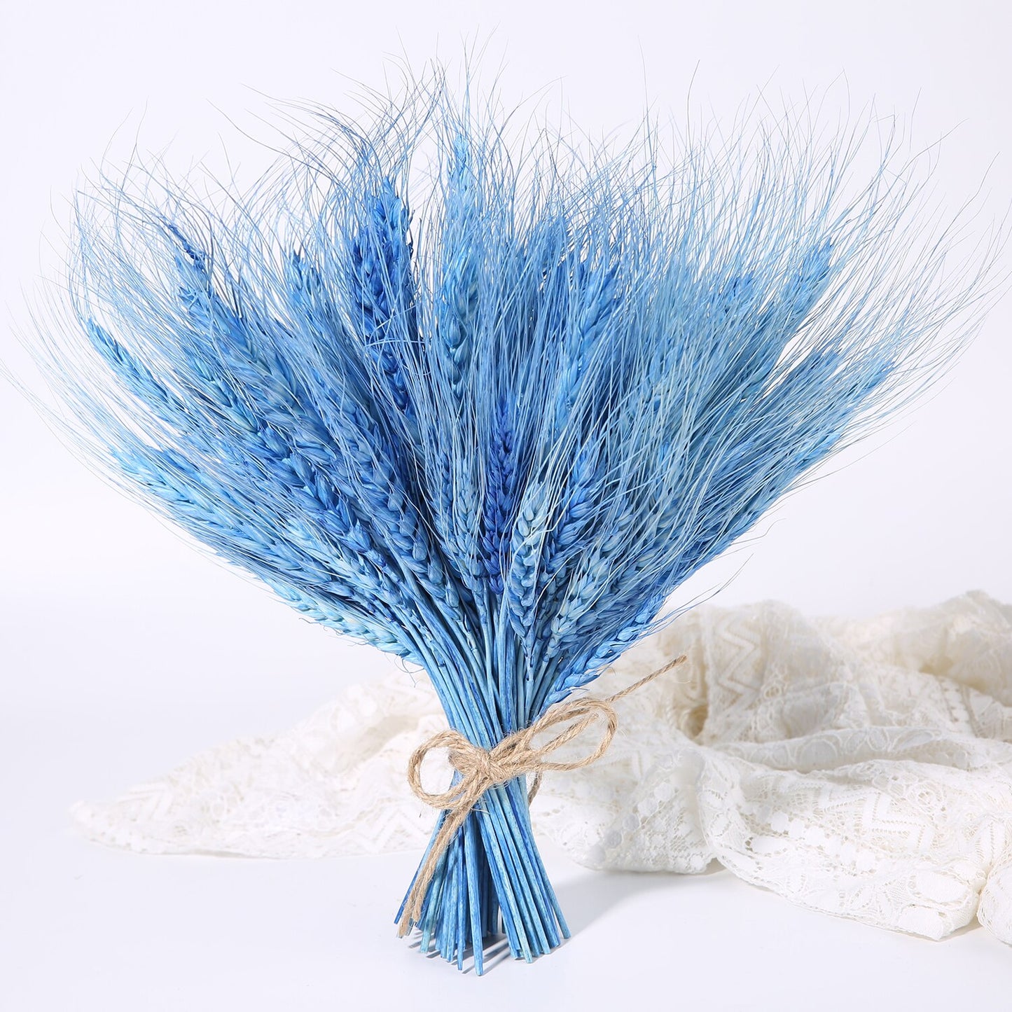 Bulrush Natural Dried Small Pampas Grass Phragmites Real Wheat Artificial Plants Wedding Flower Bunch For Home Decor Fake Flower