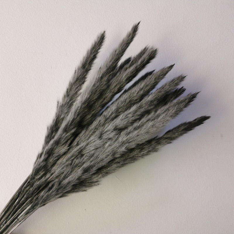 15Pcs Dried Reed Flower Arrangement Natural Pampas Grass For Modern Home Decoration Party Backdrops Wedding Supplies