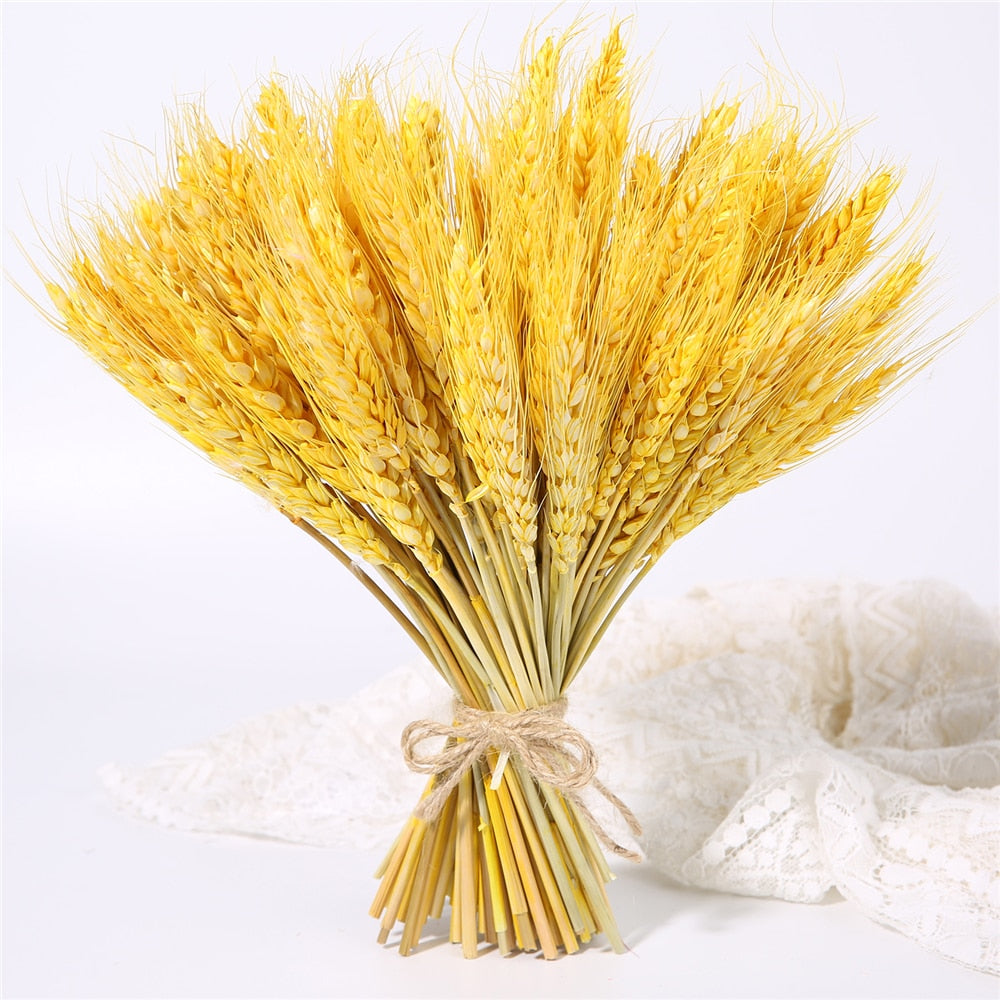 Bulrush Natural Dried Small Pampas Grass Phragmites Real Wheat Artificial Plants Wedding Flower Bunch For Home Decor Fake Flower