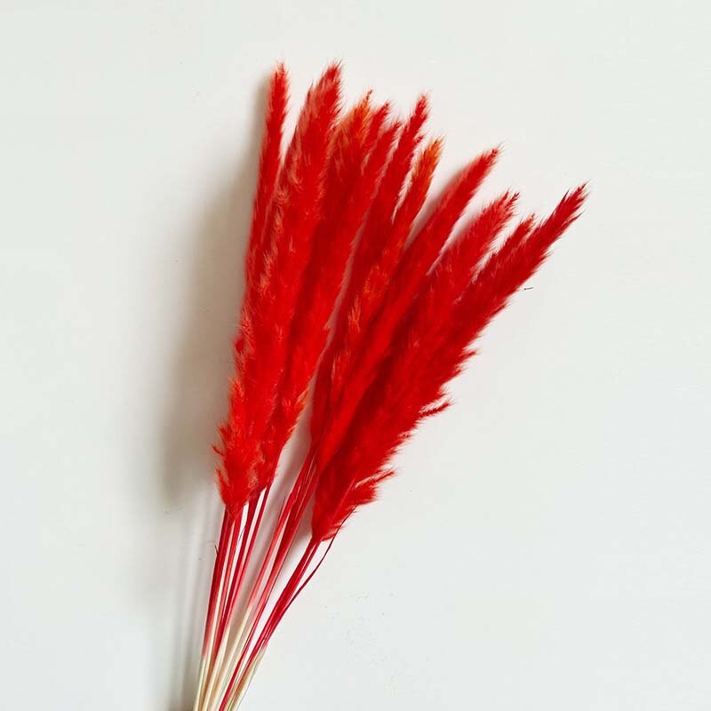 30PCS/Length 40-43CM Real Dried Natural Grass Reed Flower,Dry Small Bulrush Bouquet,Pampas Reeds,Home Decoration,Wedding Decor