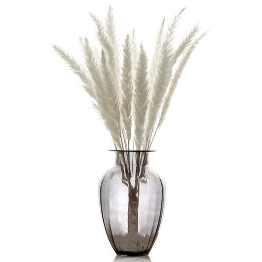 Natural Dried Flowers Lagurus Ovatus Rabbit Bunny Tail Grass Bunch Real Flower Bouquet Pampas Grass for Home Wedding Decoration