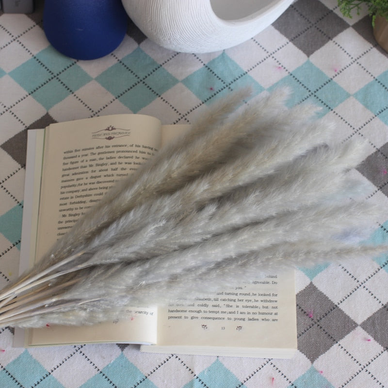 Dekoration 15Pcs Free Shipping Dried Pampas Grass Decor Wedding Flower Bunch Natural Plants for Home Christmas Decorations
