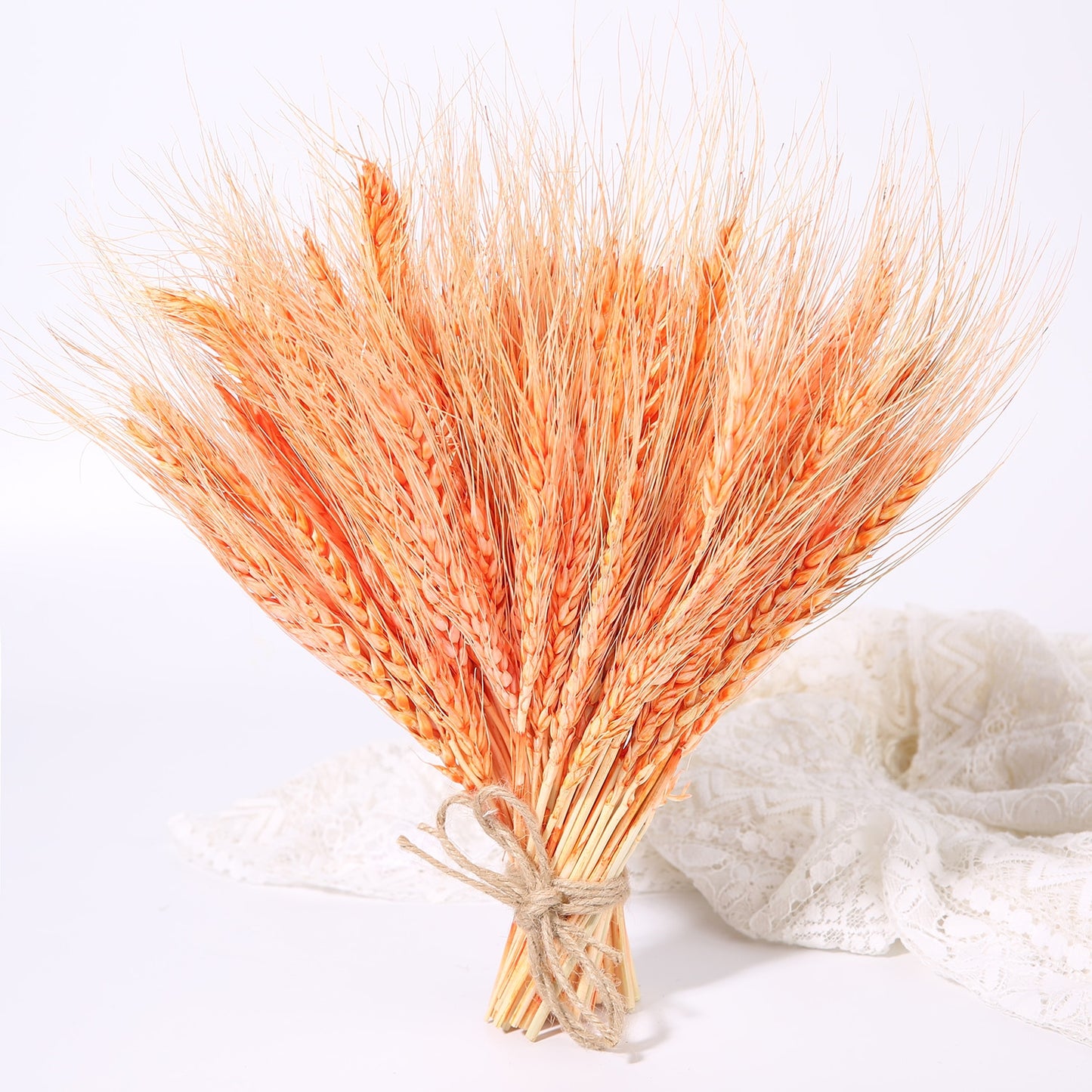 Bulrush Natural Dried Small Pampas Grass Phragmites Real Wheat Artificial Plants Wedding Flower Bunch For Home Decor Fake Flower