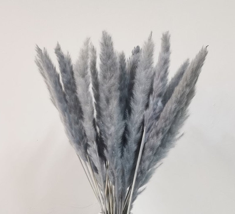 15Pcs Dried Reed Flower Arrangement Natural Pampas Grass For Modern Home Decoration Party Backdrops Wedding Supplies