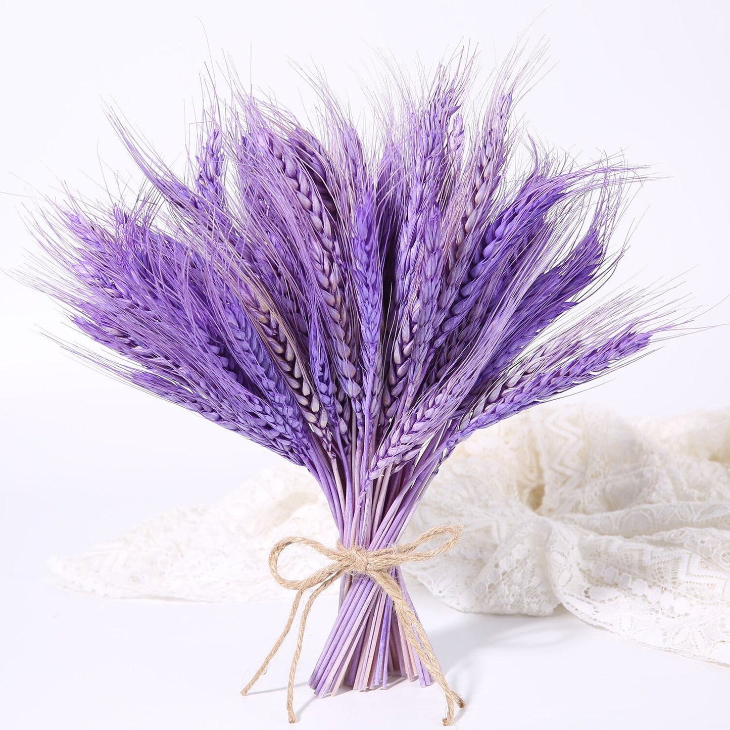 Bulrush Natural Dried Small Pampas Grass Phragmites Real Wheat Artificial Plants Wedding Flower Bunch For Home Decor Fake Flower