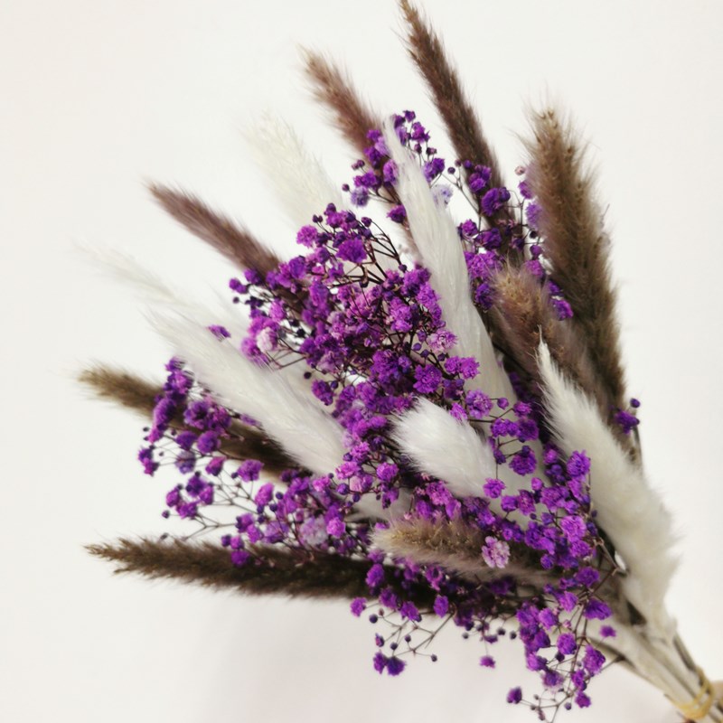 15Pcs Dried Reed Flower Arrangement Natural Pampas Grass For Modern Home Decoration Party Backdrops Wedding Supplies