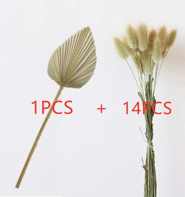 15Pcs Dried Reed Flower Arrangement Natural Pampas Grass For Modern Home Decoration Party Backdrops Wedding Supplies