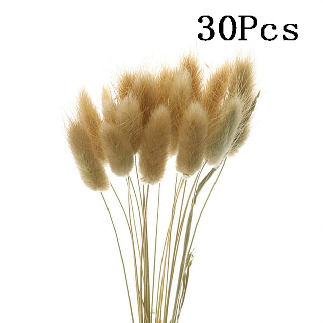 Rabbit Tail Natural Dried Flower Pampas Grass Bunch Real Bouquet Flower for Photo Props Flores Home Wedding Decoration DIY 2022