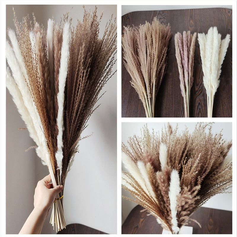 45cm Reed Pampas Wheat Ears Rabbit Tail Grass Natural Dried Flowers Bouquet Wedding Decoration Hay for Party Bohemian Home