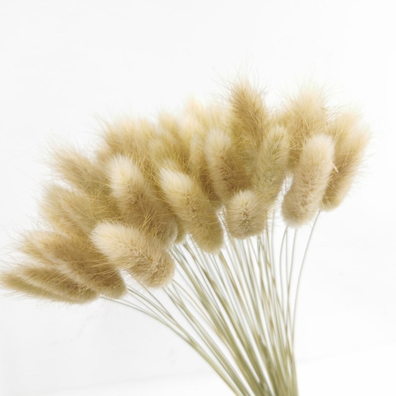 15Pcs Dried Reed Flower Arrangement Natural Pampas Grass For Modern Home Decoration Party Backdrops Wedding Supplies