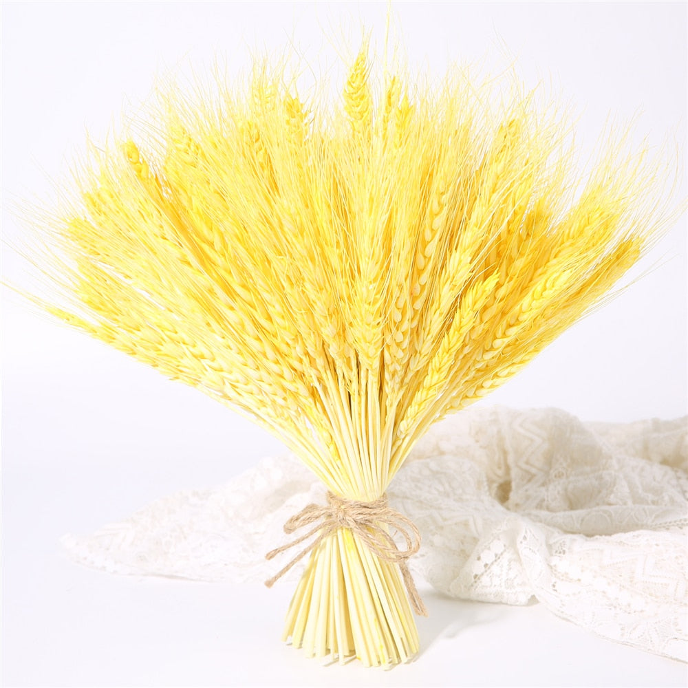 Bulrush Natural Dried Small Pampas Grass Phragmites Real Wheat Artificial Plants Wedding Flower Bunch For Home Decor Fake Flower
