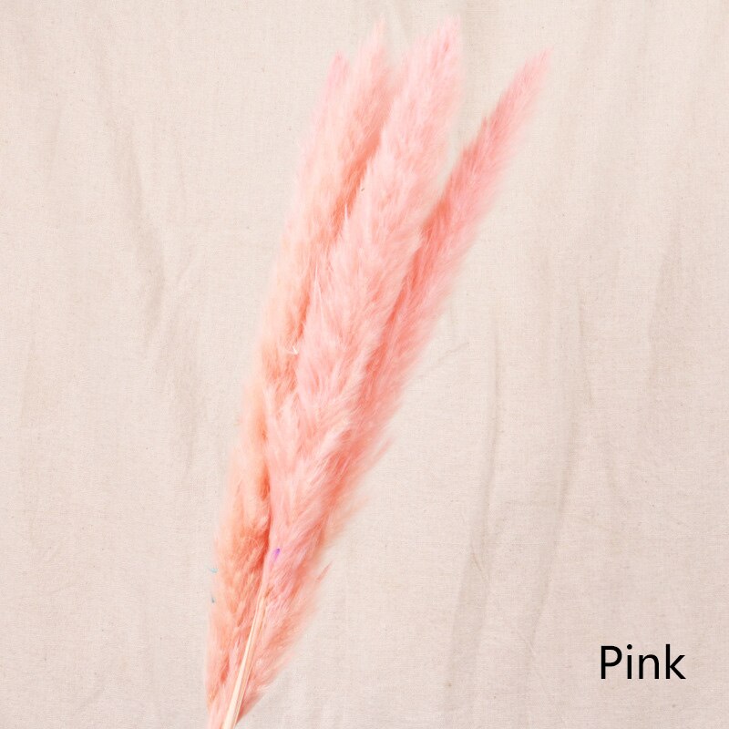 Bulrush Natural Dried Small Pampas Grass Phragmites Real Wheat Artificial Plants Wedding Flower Bunch For Home Decor Fake Flower