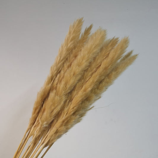 15Pcs Dried Reed Flower Arrangement Natural Pampas Grass For Modern Home Decoration Party Backdrops Wedding Supplies