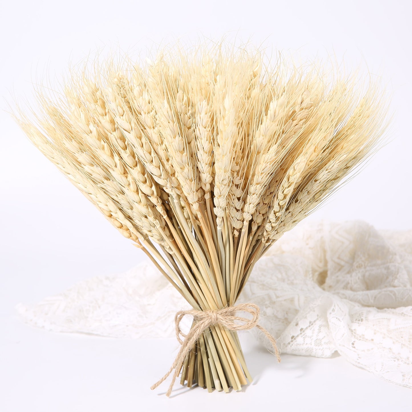 Bulrush Natural Dried Small Pampas Grass Phragmites Real Wheat Artificial Plants Wedding Flower Bunch For Home Decor Fake Flower