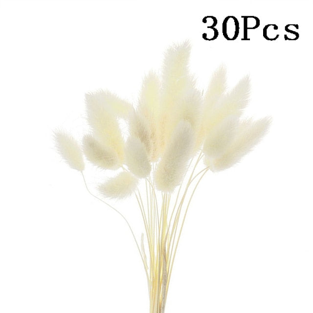 Rabbit Tail Natural Dried Flower Pampas Grass Bunch Real Bouquet Flower for Photo Props Flores Home Wedding Decoration DIY 2022
