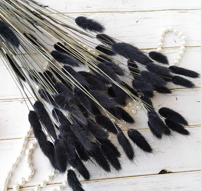 15Pcs Dried Reed Flower Arrangement Natural Pampas Grass For Modern Home Decoration Party Backdrops Wedding Supplies