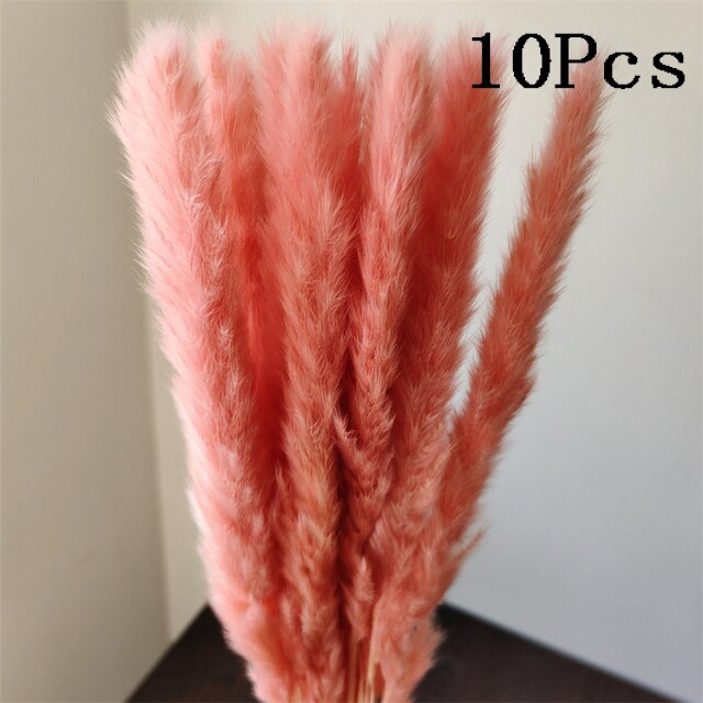 Rabbit Tail Natural Dried Flower Pampas Grass Bunch Real Bouquet Flower for Photo Props Flores Home Wedding Decoration DIY 2022