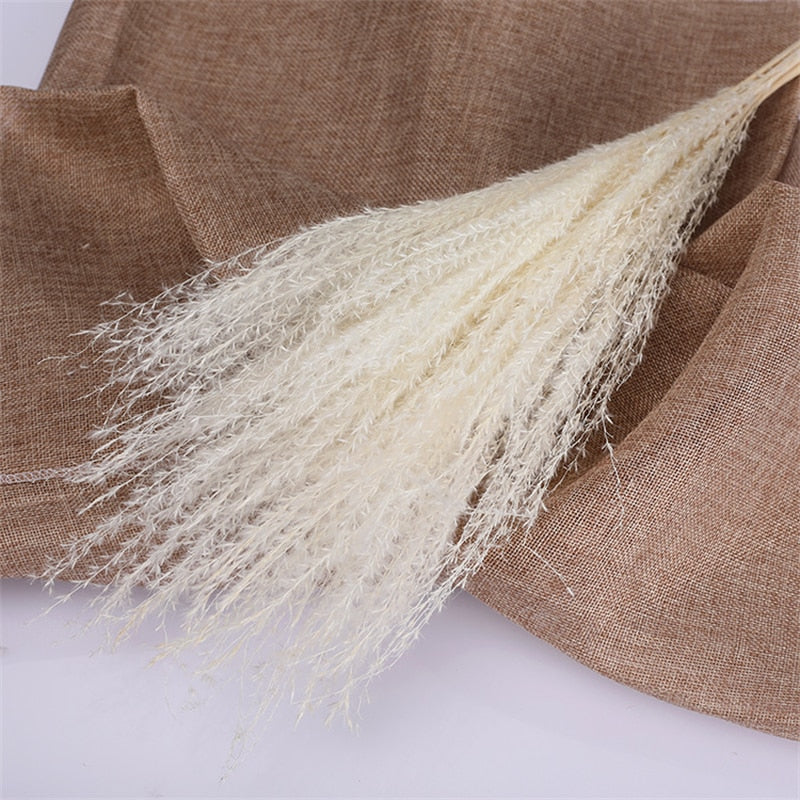 Dekoration 15Pcs Free Shipping Dried Pampas Grass Decor Wedding Flower Bunch Natural Plants for Home Christmas Decorations