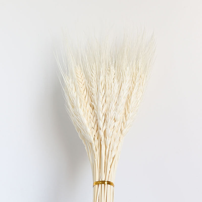 Dekoration 15Pcs Free Shipping Dried Pampas Grass Decor Wedding Flower Bunch Natural Plants for Home Christmas Decorations