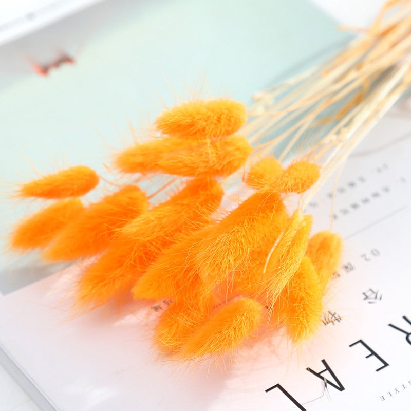 Dekoration 15Pcs Free Shipping Dried Pampas Grass Decor Wedding Flower Bunch Natural Plants for Home Christmas Decorations
