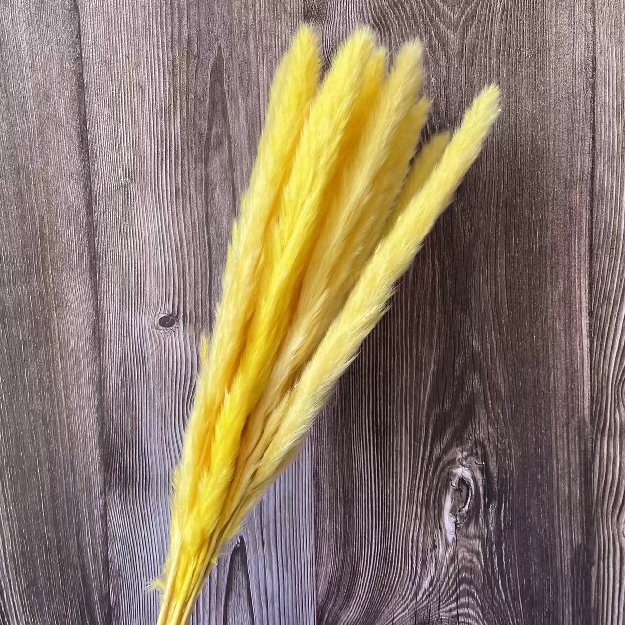 30PCS/Length 40-43CM Real Dried Natural Grass Reed Flower,Dry Small Bulrush Bouquet,Pampas Reeds,Home Decoration,Wedding Decor