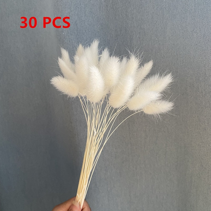 15Pcs Dried Small Pampas Grass Flowers Pantas Artificiales Para Decoracion Real Plants Home Decor Wedding Decoration