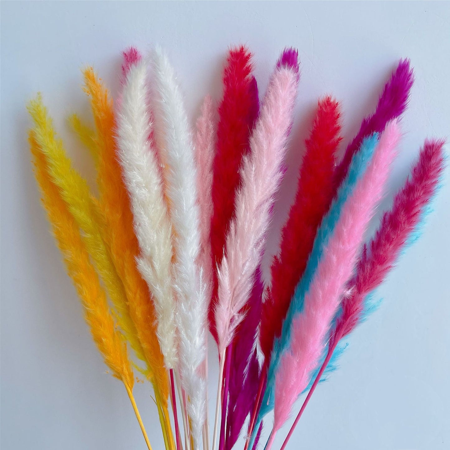 Dekoration 15Pcs Free Shipping Dried Pampas Grass Decor Wedding Flower Bunch Natural Plants for Home Christmas Decorations