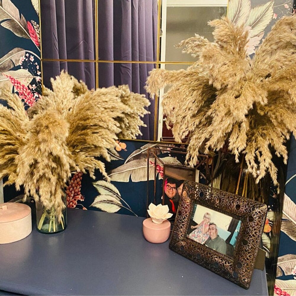 20 Stems Pompous Pampas-Grass Dried Pampass Plants Fluffy Pompas Grasses Small Pompus Short Boho Decor Total Length 21inch/55cm