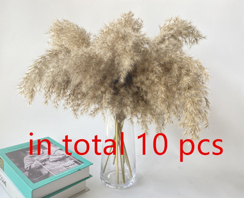 15Pcs Dried Small Pampas Grass Flowers Pantas Artificiales Para Decoracion Real Plants Home Decor Wedding Decoration