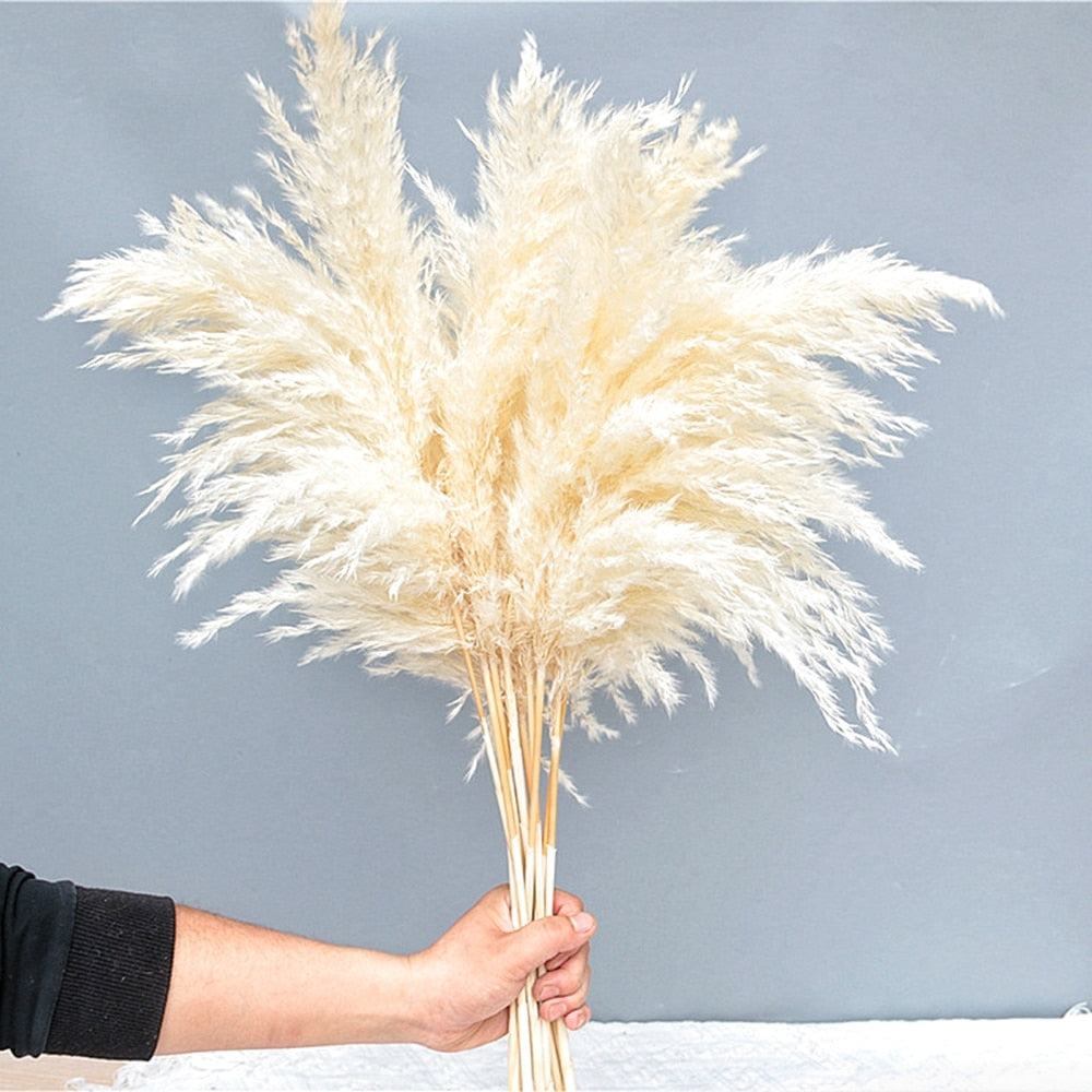 1-1.1m Large Pampas Grass Fluffy Natural Dryness Wedding Bouquet Tall Dried Flower Ceremony Modern Home Garden Decoration Reed