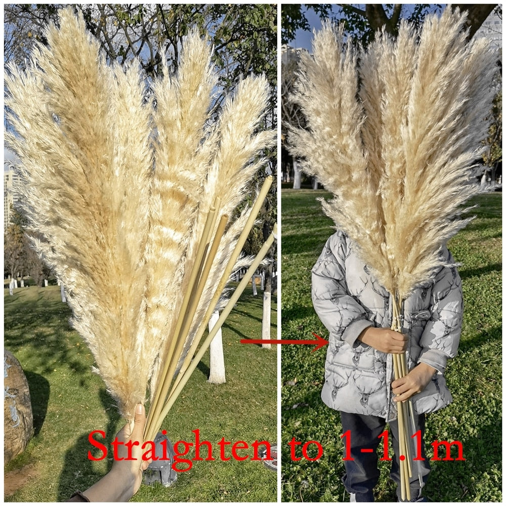 1-1.1m Large Pampas Grass Fluffy Natural Dryness Wedding Bouquet Tall Dried Flower Ceremony Modern Home Garden Decoration Reed