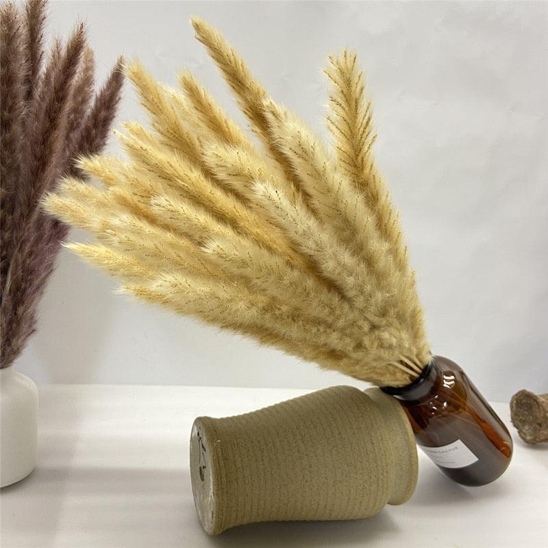 15Pcs Dried Small Pampas Grass Flowers Pantas Artificiales Para Decoracion Real Plants Home Decor Wedding Decoration