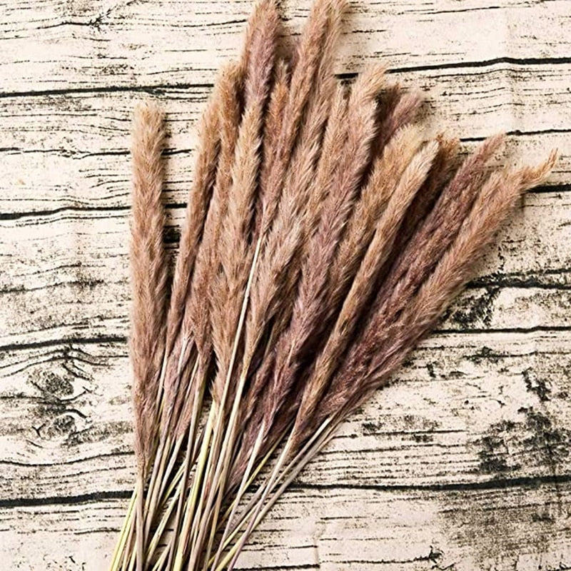 15Pcs Pampas Grass 18Tall Dried Pompous Grass Pompass Branches for Vase Flower Arrangement Wedding Kitchen Home Decor Whit