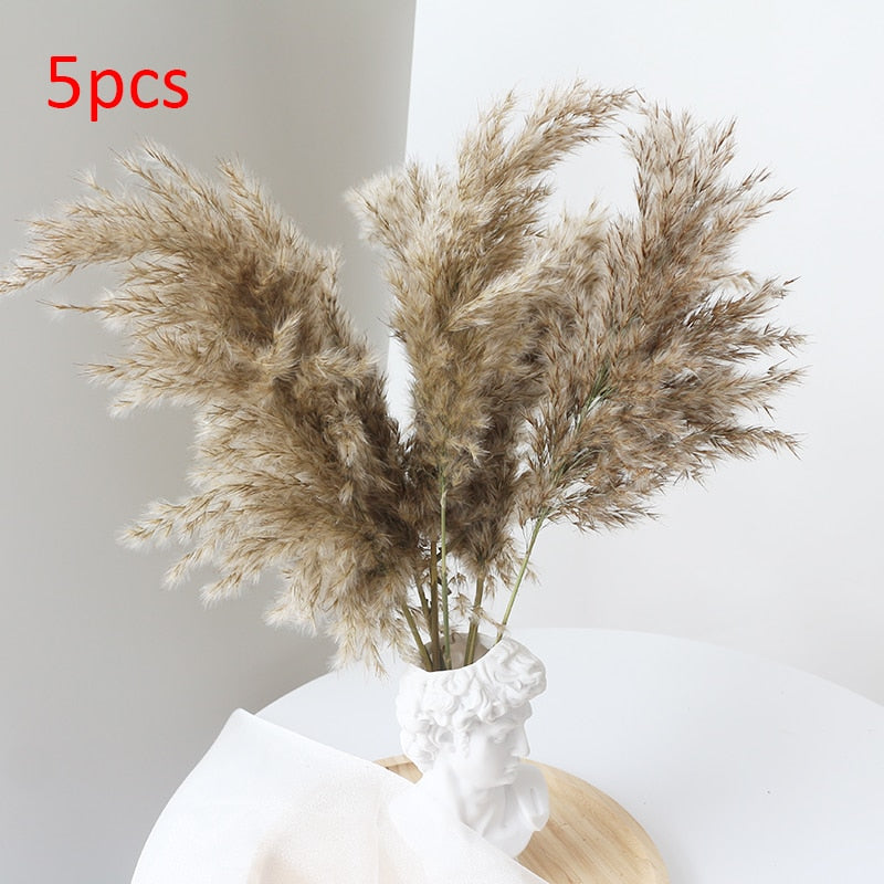 Pampas Grass Phragmites Reed Dried Natural Flowers Bouquet Arrangement Wedding Party Decor Christmas Decorations For Home Table