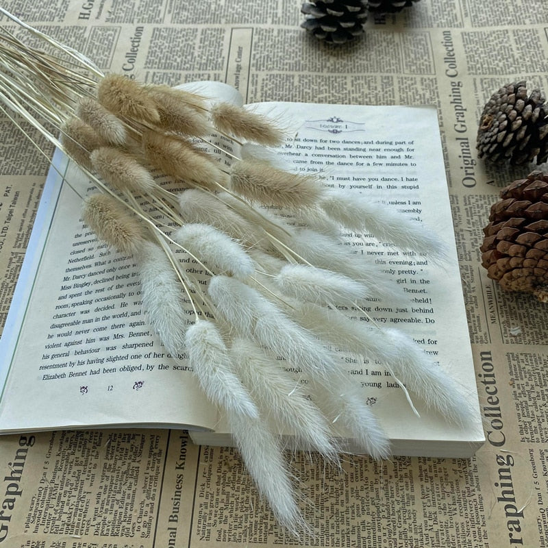 15Pcs Pampas Grass 18Tall Dried Pompous Grass Pompass Branches for Vase Flower Arrangement Wedding Kitchen Home Decor Whit